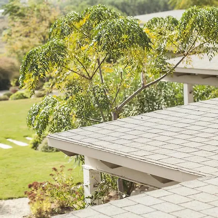 Ammouda 4* Chalkidiki