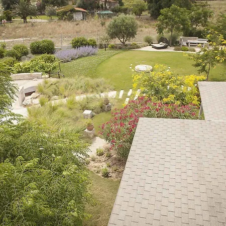 Ammouda 4* Chalkidiki