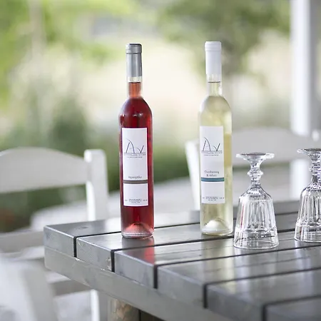 Ammouda فندق خالكيذيكي