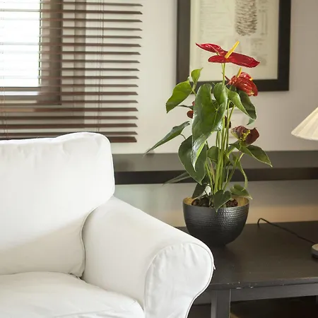 فندق Ammouda خالكيذيكي