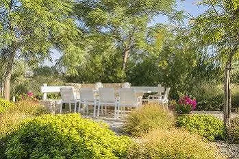 Otel Ammouda